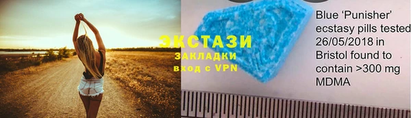 дживик Няндома