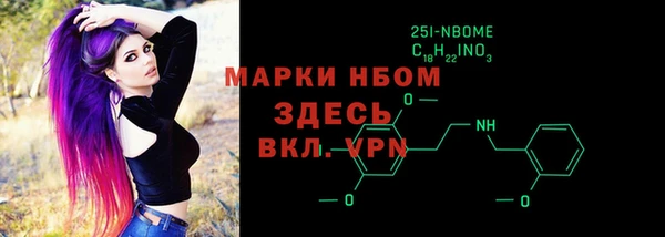 дживик Няндома