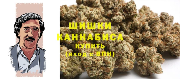 дживик Няндома