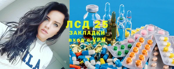 дживик Няндома