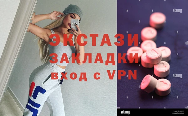 дживик Няндома