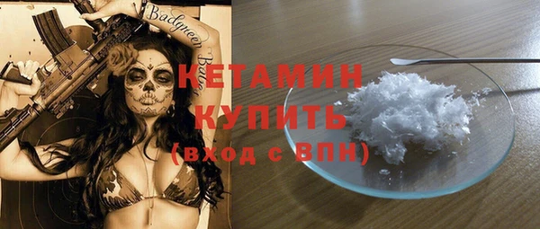 дживик Няндома